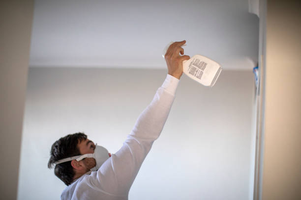 Best Commercial Mold Removal  in Woodworth, OH