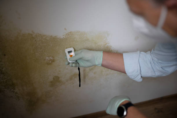 Best Mold Testing  in Woodworth, OH