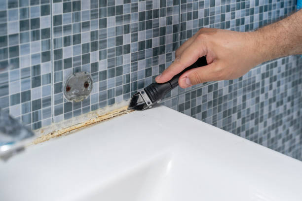 Best Emergency Mold Removal  in Woodworth, OH