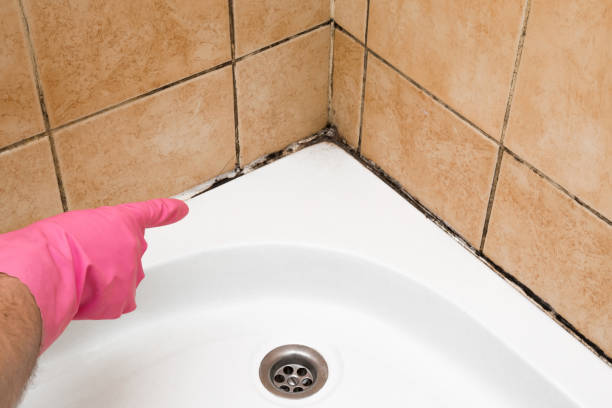 Best Residential Mold Removal  in Woodworth, OH